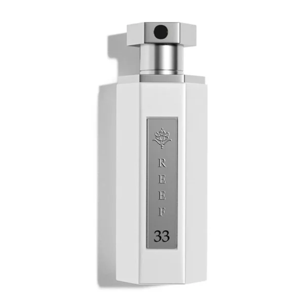 Mini Reef 33